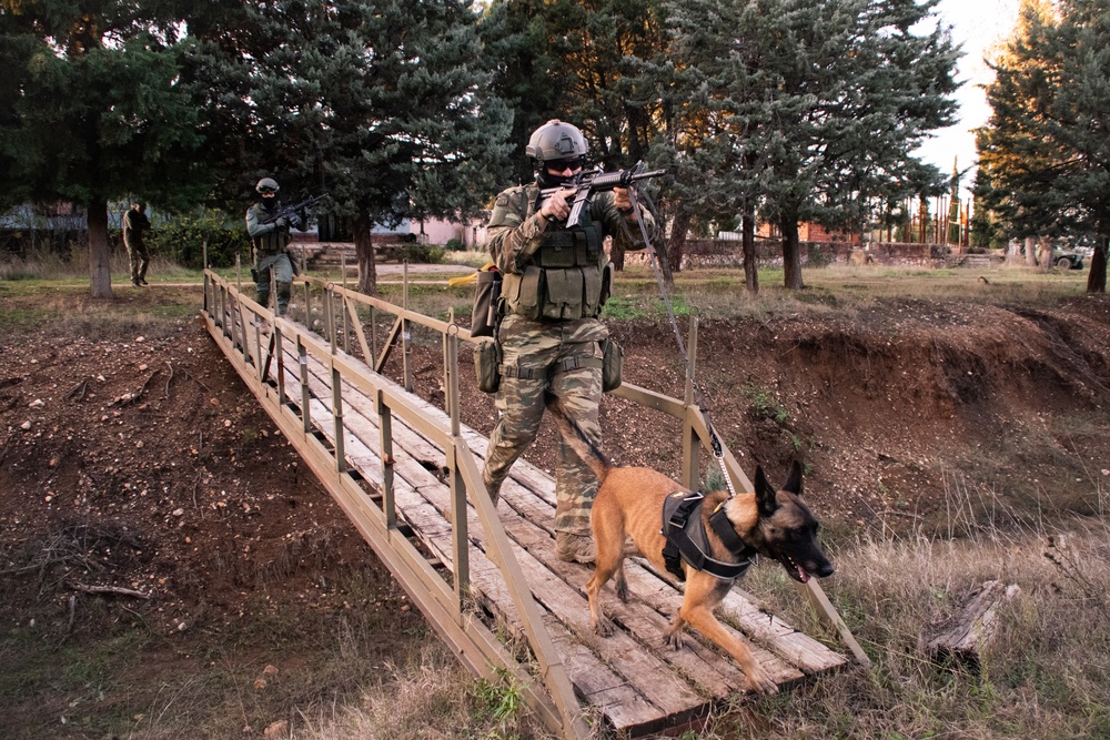 K-9 Assault