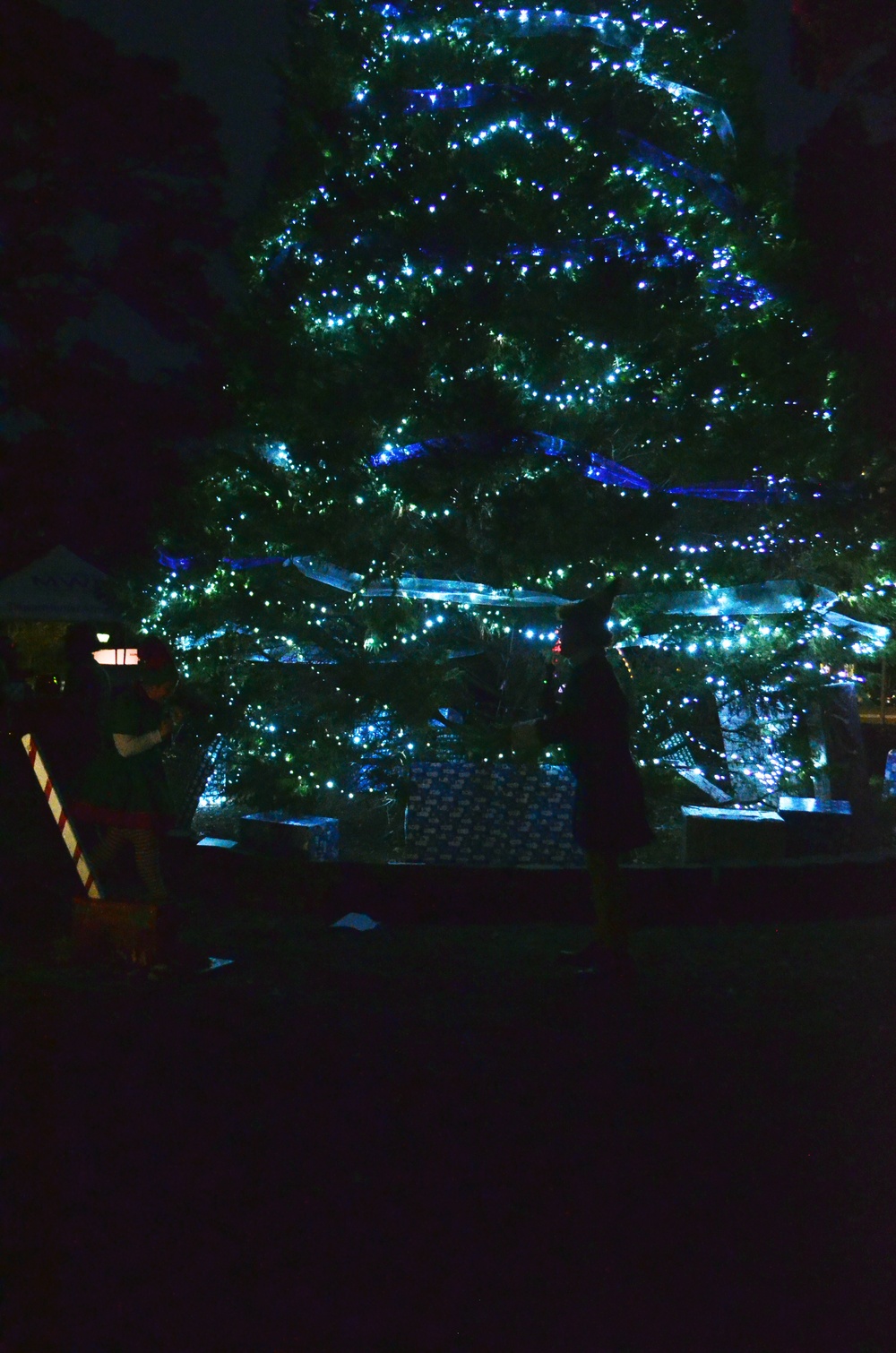 Hunter Army Airfield celebrates their annual tree lighting ceremony