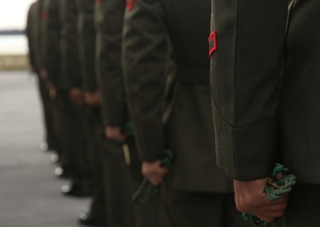 All for One, One Fourragère