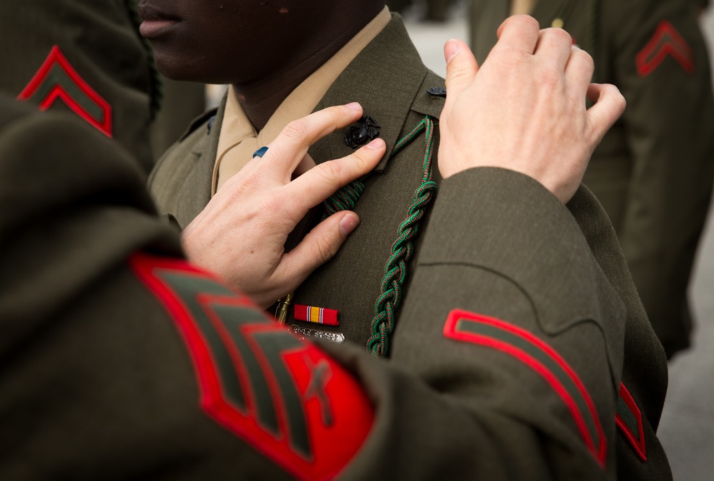 All for One, One Fourragere