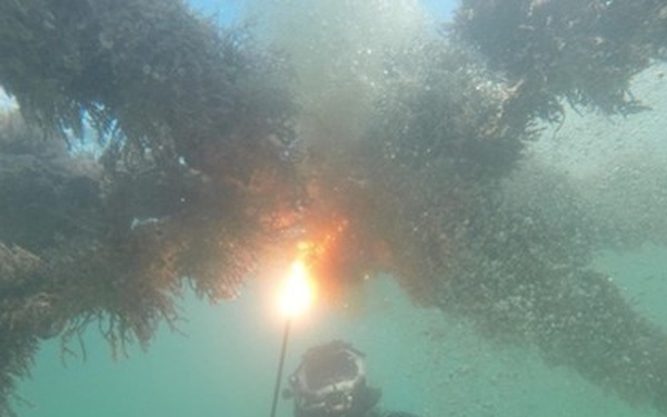 Coast Guard removes navigation hazards from New Jersey ICW