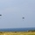 The image shows four military paratroopers descending with olive-drab/dark green round parachutes over a coastal landscape. The drop zone appears to be a flat grassy field near a body of water, likely an ocean or large sea visible in the background. The parachutes are consistent with military static-line deployment used in airborne operations.