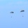 Three military paratroopers are descending over a coastal grassy field using round, olive-drab/gray military parachutes. Two paratroopers are at higher altitude while a third is near ground level with a partially collapsed canopy. The background shows open ocean, low coastal vegetation, and dry grassland terrain.