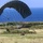 A military-style ram-air parachute in dark olive/gray coloring is captured during a landing phase over a coastal grassy field. A person and what appears to be a suspended load or equipment package are visible beneath the canopy. The ocean and coastal vegetation are visible in the background under clear blue skies.
