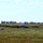 The image shows a military or training parachute drop operation on an open grassy field. Multiple parachutists have landed or are in the process of landing, with at least one still airborne on the right side of the frame. Collapsed parachutes and personnel are visible on the ground, suggesting a coordinated multi-jumper exercise.
