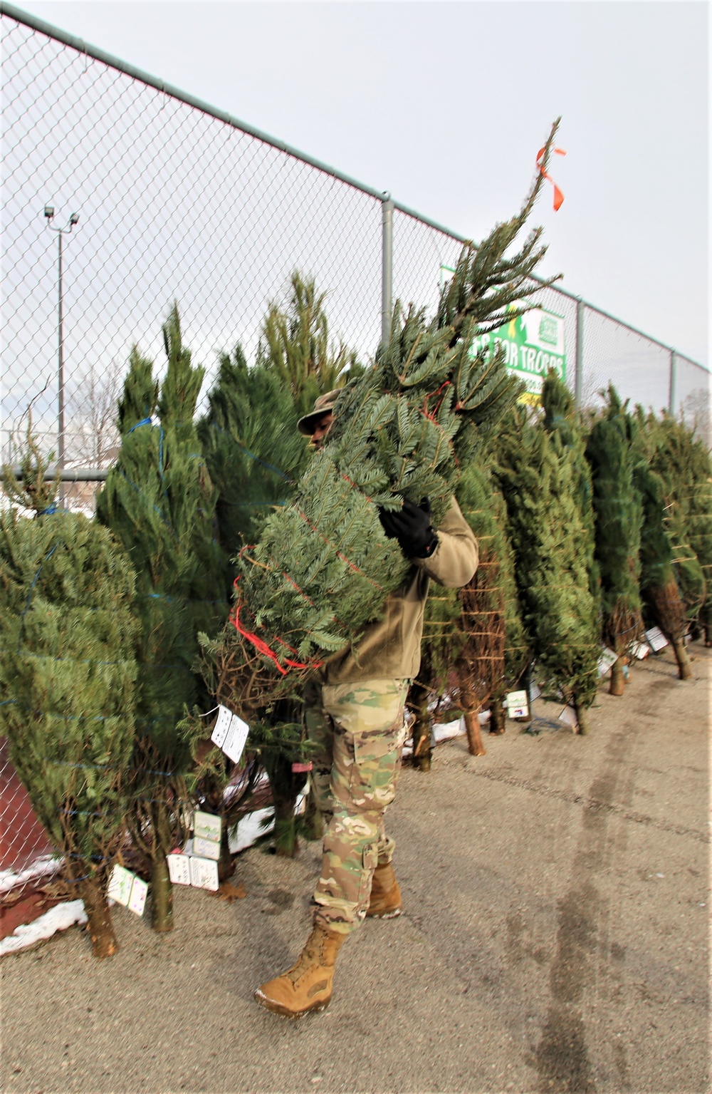 2019 Trees for Troops event at Fort McCoy