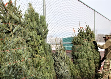 Photo Essay: 2019 Trees for Troops event at Fort McCoy