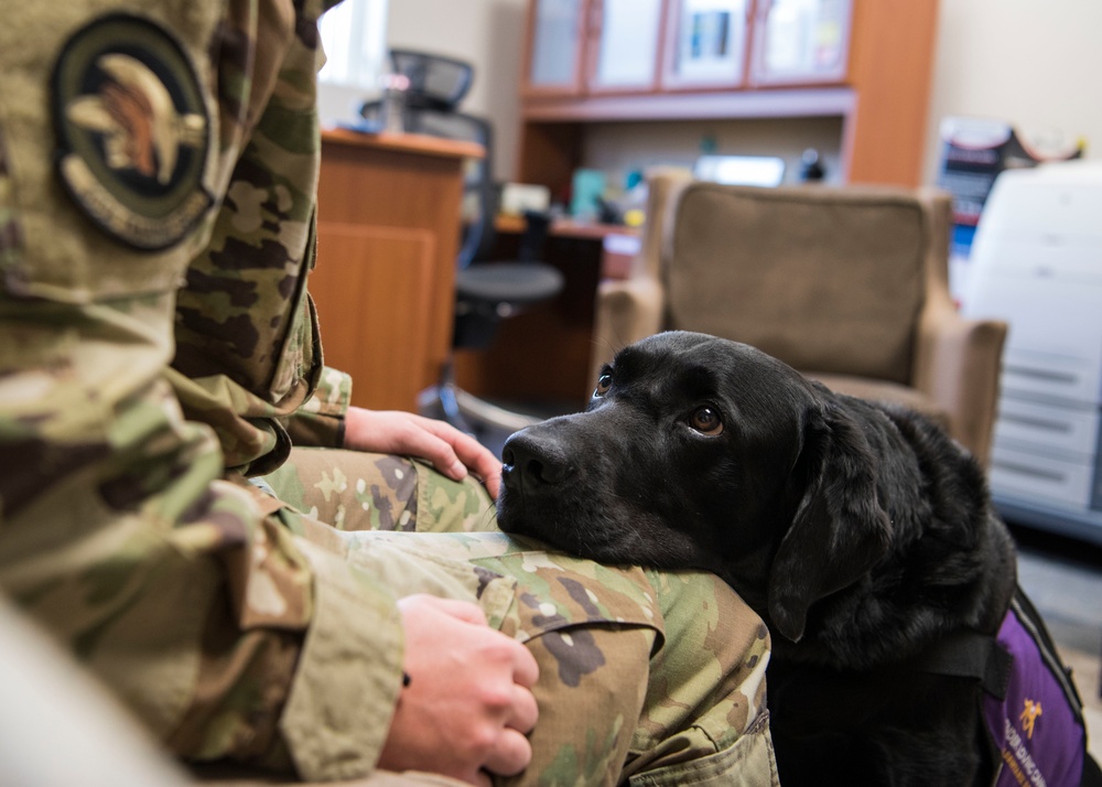 Pawsitive impacts; first DOD certified courthouse facility dog