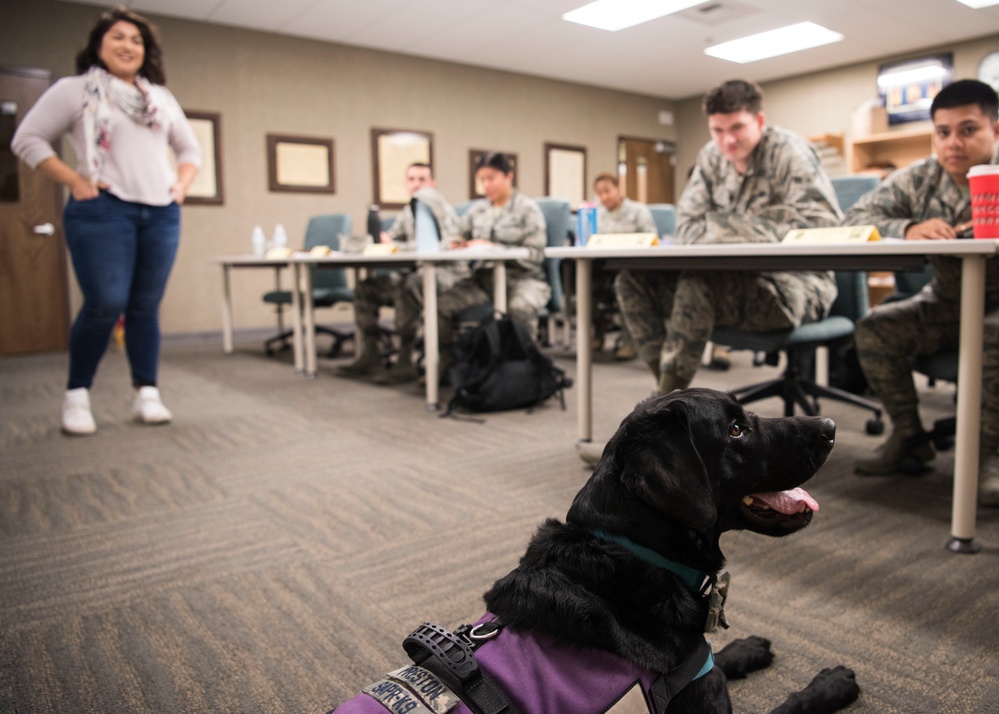 Pawsitive impacts; first DOD certified courthouse facility dog