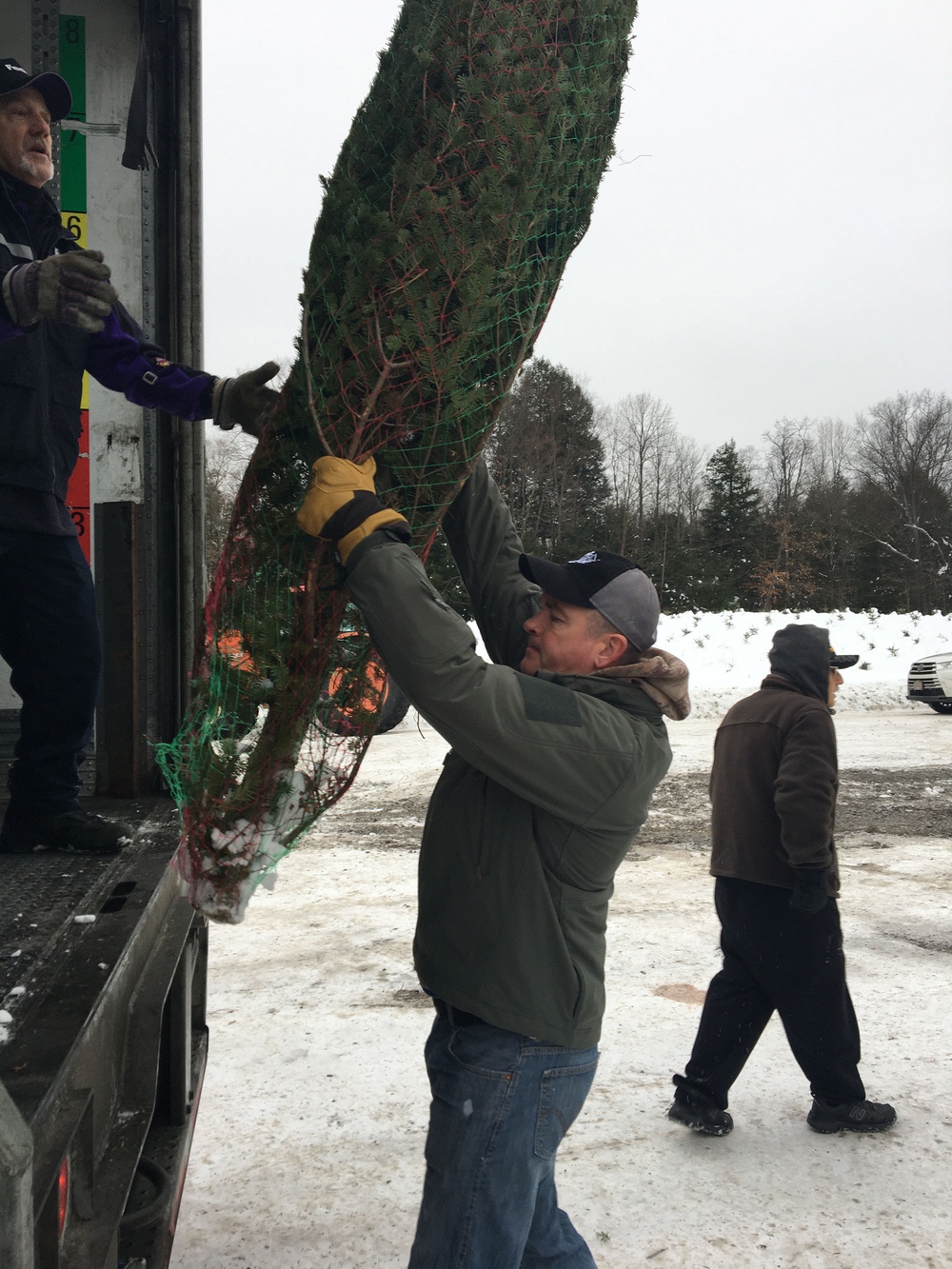 National Guard volunteers join veterans, volunteers for Trees for Troops loadout