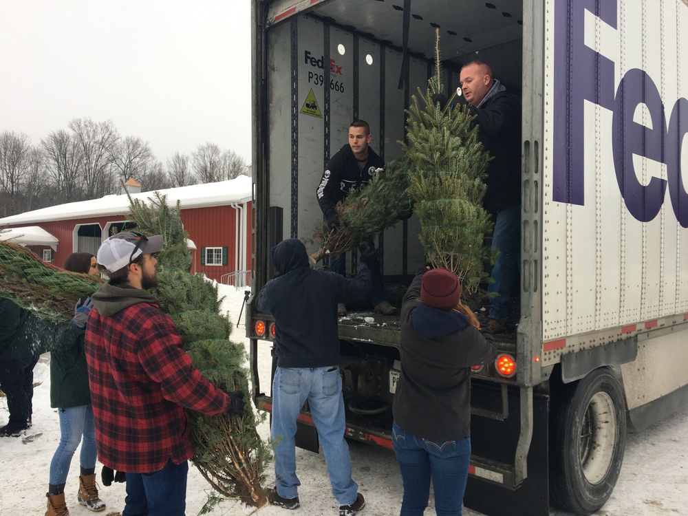 National Guard volunteers join veterans, volunteers for Trees for Troops loadout