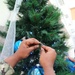 Trim the Tree with Love