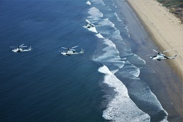 Vipers Storm the Sky