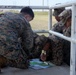 BLT 1/5 conducts simulated TRAP on Okinawa