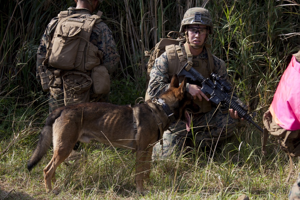 BLT 1/5 conducts simulated TRAP on Okinawa