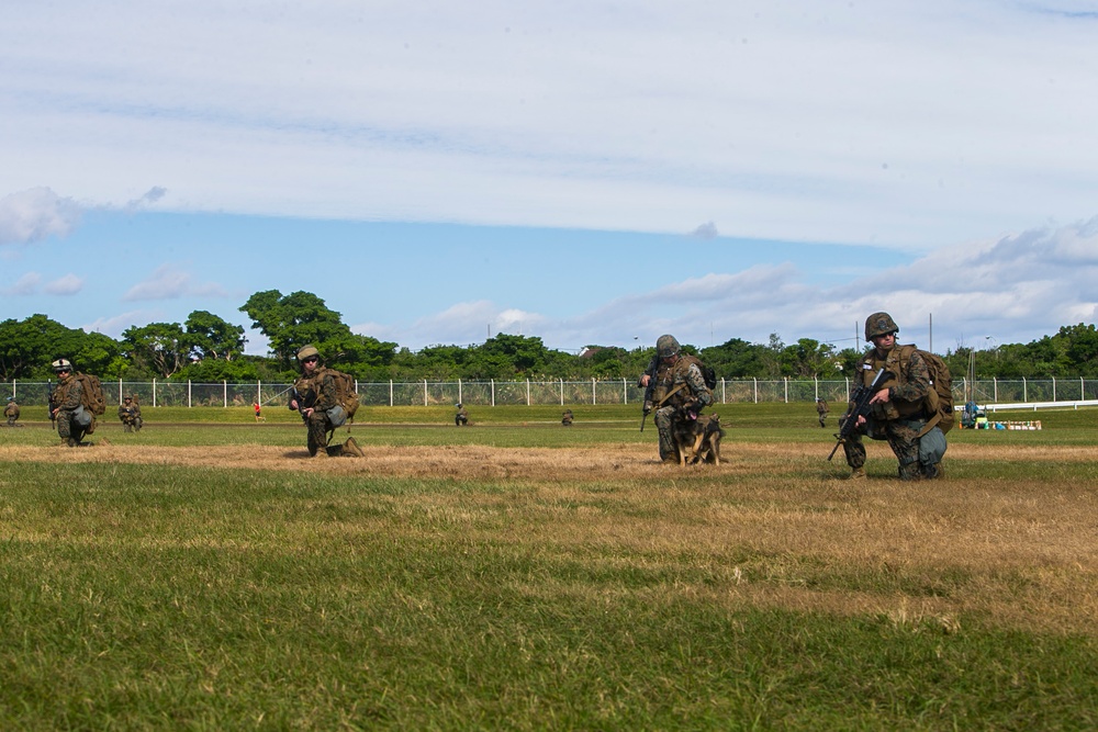 31st MEU executes simulated embassy reinforcement