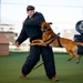 Military Working Dog Brings down the Bite