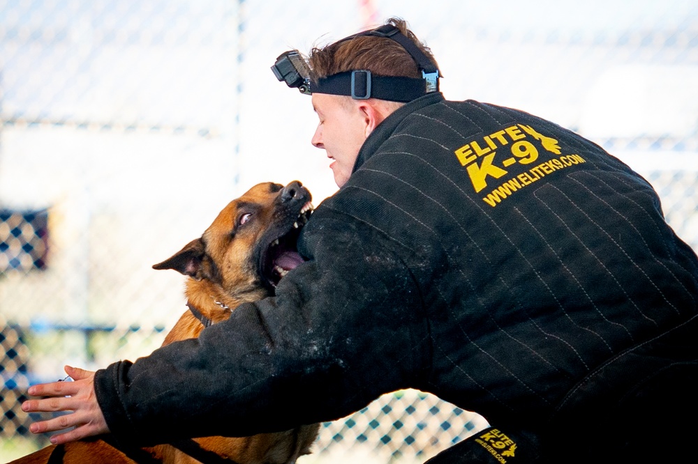 Military Working Dog Brings down the Bite