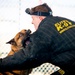 Military Working Dog Brings down the Bite