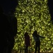Scott AFB 2019 tree-lighting ceremony