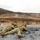 Marksmanship Training Unit holds annual Pennsylvania State Sniper Match