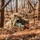Marksmanship Training Unit holds annual Pennsylvania State Sniper Match