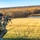 Marksmanship Training Unit holds annual Pennsylvania State Sniper Match