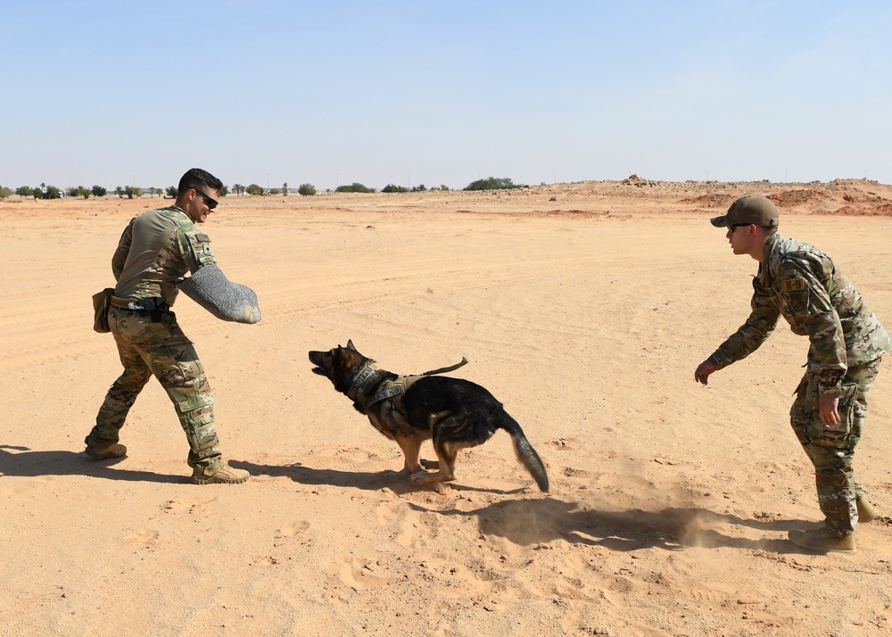 PSAB MWDs train for real world contingencies