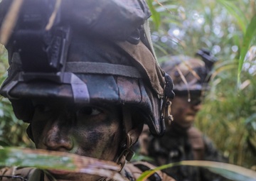 Bridging Bonnie | Marines 3rd MLG conduct engineering reconnaissance