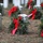 Sackets Harbor Military Cemetery Wreath Laying Ceremony