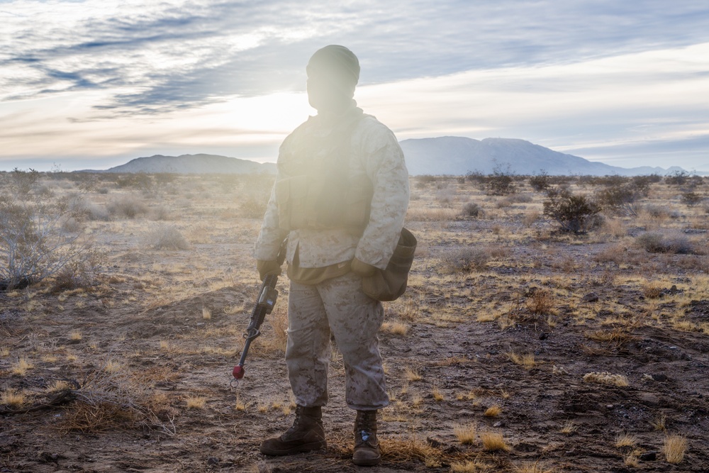 3rd Battalion, 11th Marines, Steel Knight 20