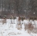 Fort McCoy Cold-Weather Operations Course students practice snowshoeing, conduct field ops
