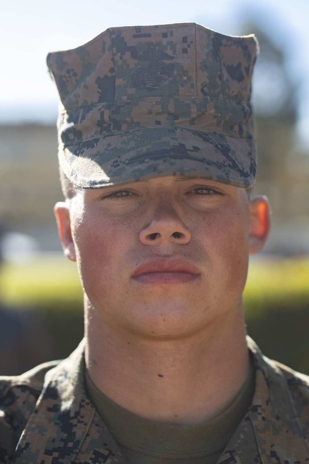 Alpha Company Honormen