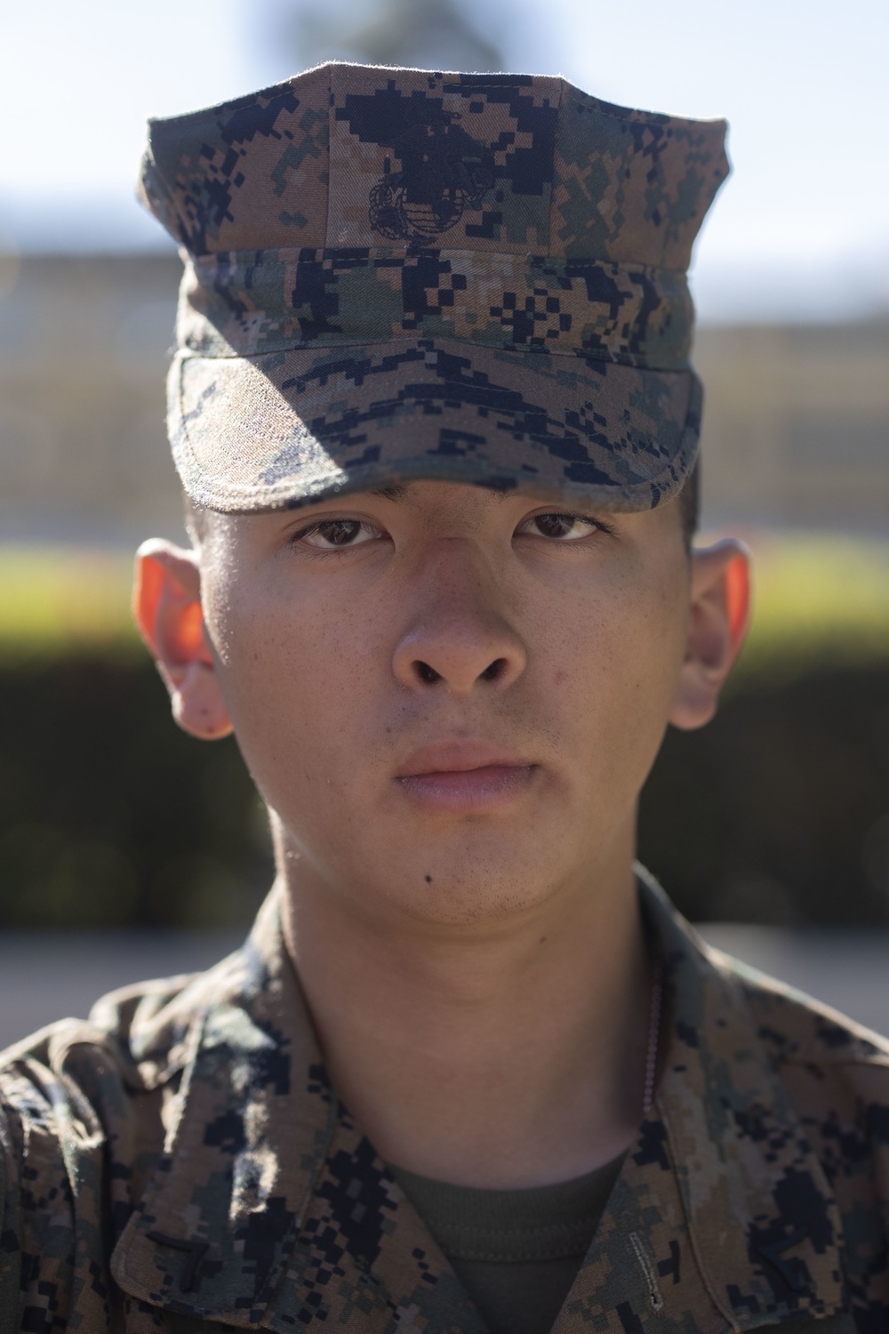 Alpha Company Honormen