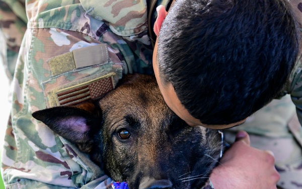 MWD: Partner in fighting crime