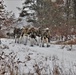 Fort McCoy Cold-Weather Operations Course students practice snowshoeing, conduct field ops