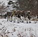 Fort McCoy Cold-Weather Operations Course students practice snowshoeing, conduct field ops