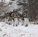 Snowshoeing among critical skills practiced, learned by students in CWOC at Fort McCoy