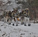 Snowshoeing among critical skills practiced, learned by students in CWOC at Fort McCoy