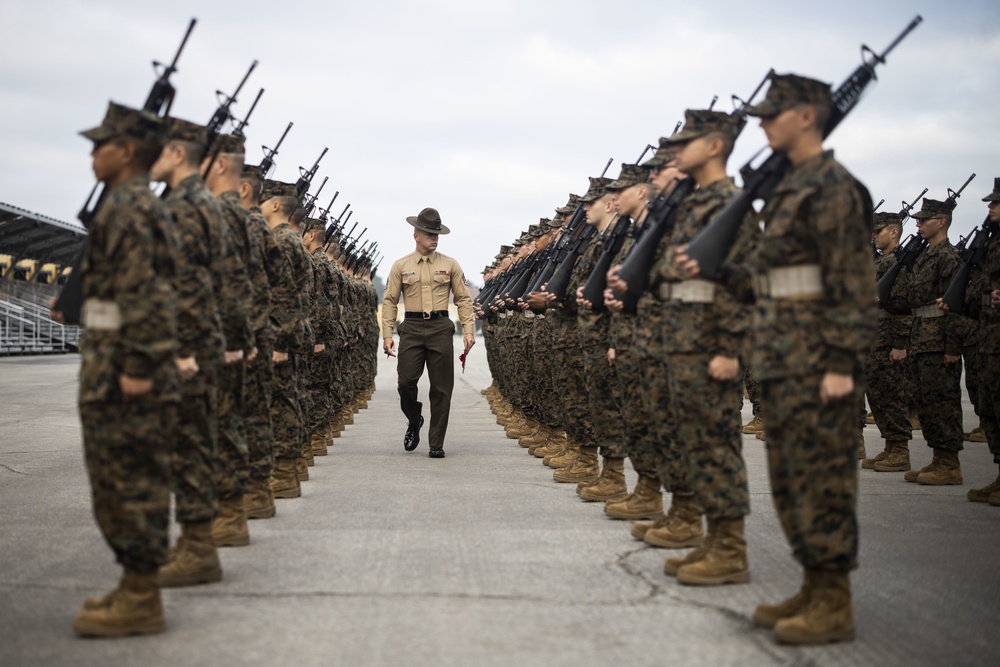 Charlie Company Final Drill