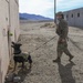Military Working Dogs, handlers conduct joint training at NTC