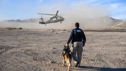 Military Working Dogs, handlers conduct joint training at NTC