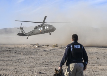Military Working Dogs, handlers conduct joint training at NTC