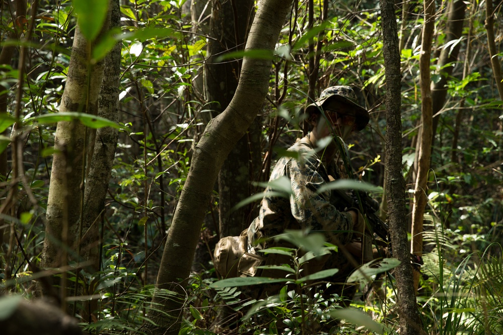 BLT 1/5 conducts simulated urban assault, jungle warfare training during MEU Exercise