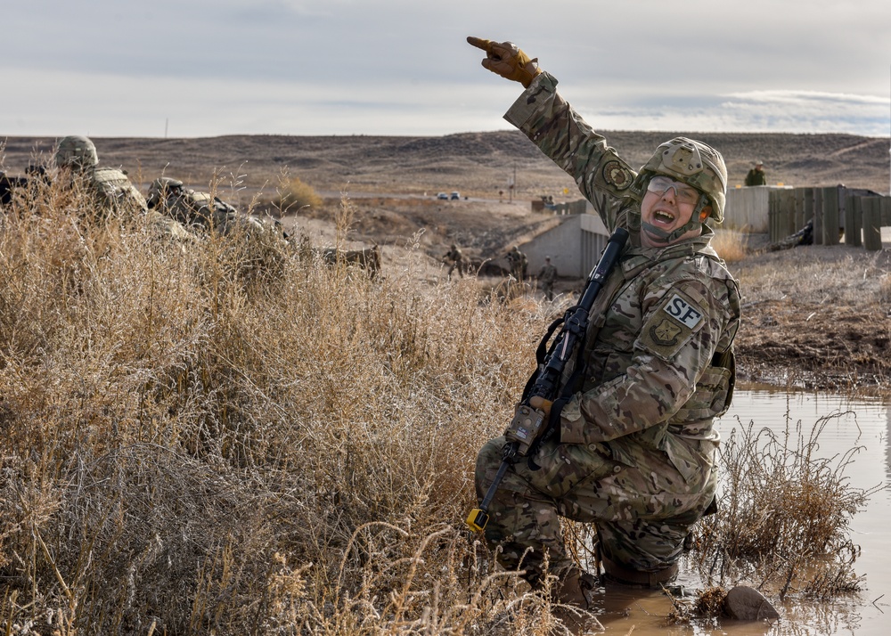 Security Forces Group training integrates defenders, improves readiness