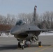 149th FW grey F-16