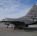 TX ANG 149th FW grey F-16