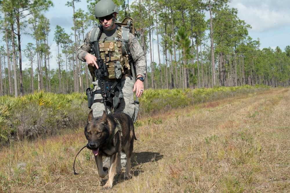Doggone bombs: Team MacDill integrates joint force counter-IED training