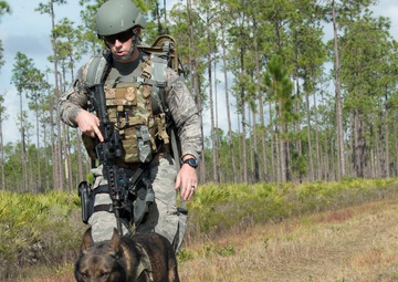 Doggone bombs: Team MacDill integrates joint force counter-IED training