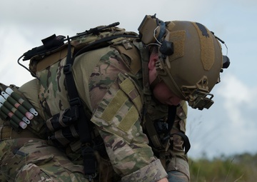 Doggone bombs: Team MacDill integrates joint force counter-IED training